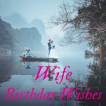 wife birthday wishes android application logo